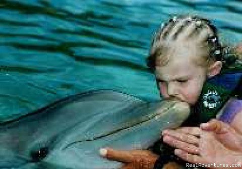 Many Area Activities - Swim with Dolphins | Riviera Maya Villa & Condo rentals | Image #22/24 | 