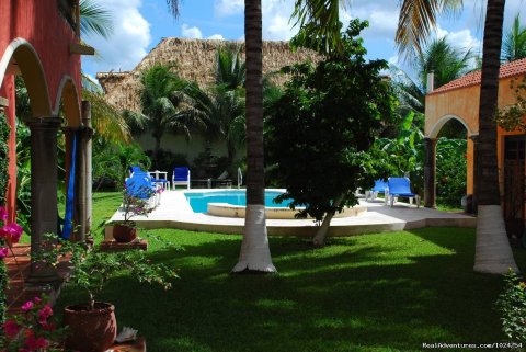 Our pool is surrounded by a lush tropical garden