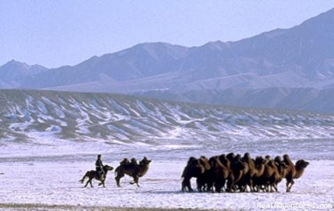 Travel to Mongolia, Uncommon adventures awaits you | Selena Travel Mongolia | Ulaanbaatar, Mongolia | Sight-Seeing Tours | Image #1/2 | 