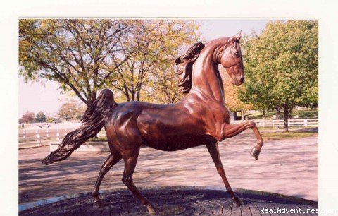 Bronze sculpture of “Phoenix “ American | Lexington, Kentucky is Horse Country | Image #2/3 | 