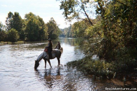 Taking a Break | Scenic Horseback  Lessons | Image #5/19 | 