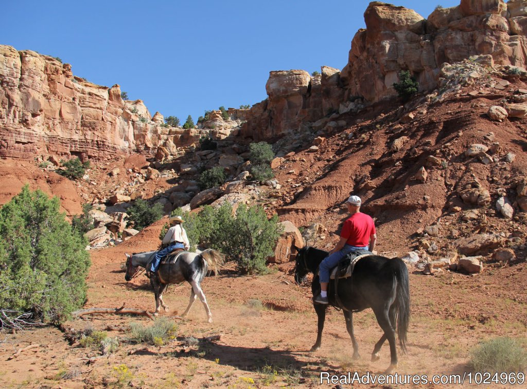 Red's Canyon | Horse Hotel | Image #10/19 | 