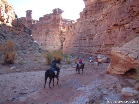 Photo 1 | Image #14/19 | Horses, Hiking and tours in Utah