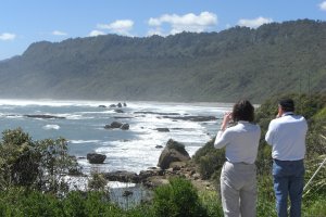 New Zealand Custom Tours by Tailored Travel | Nelson, New Zealand Sight-Seeing Tours | Pacific Tours