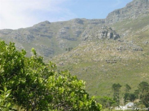 Mountain walks nearby | Hout Bay Hideaway Cape Town Villa & Apartments | Image #2/9 | 
