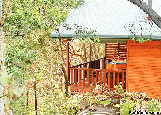 Private spa in the treetops | ALLAWAH RETREAT -Hilltops spa lodges | Cairns, Australia | Health Spas & Retreats | Image #1/1 | 