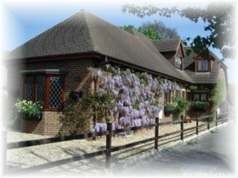 Bed and Breakfast at Wisteria House | Fareham, United Kingdom | Bed & Breakfasts | Image #1/2 | 