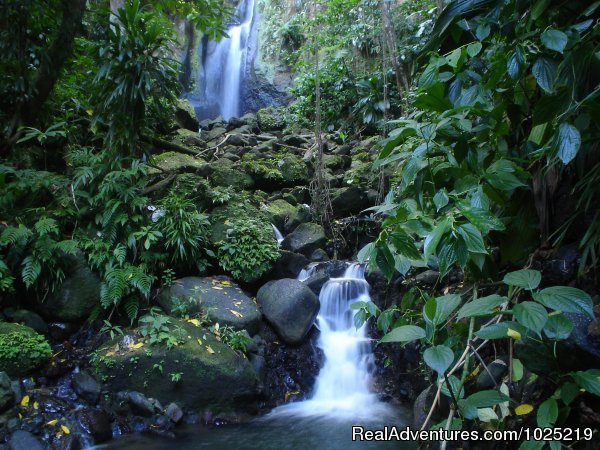 A Local Waterfall | 3 Rivers Eco Lodge | Image #4/11 | 