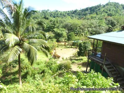 Property View | 3 Rivers Eco Lodge | St. David, Dominica | Hotels & Resorts | Image #1/11 | 