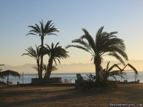 natural beach sun rize | El-Waha touristic village | Nuweiba, Egypt | Hotels & Resorts | Image #1/1 | 