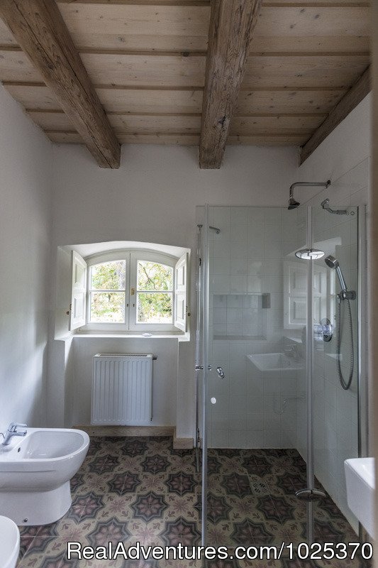 Shower | The bat Barn, Guest House and Hunting Lodge - | Image #9/12 | 
