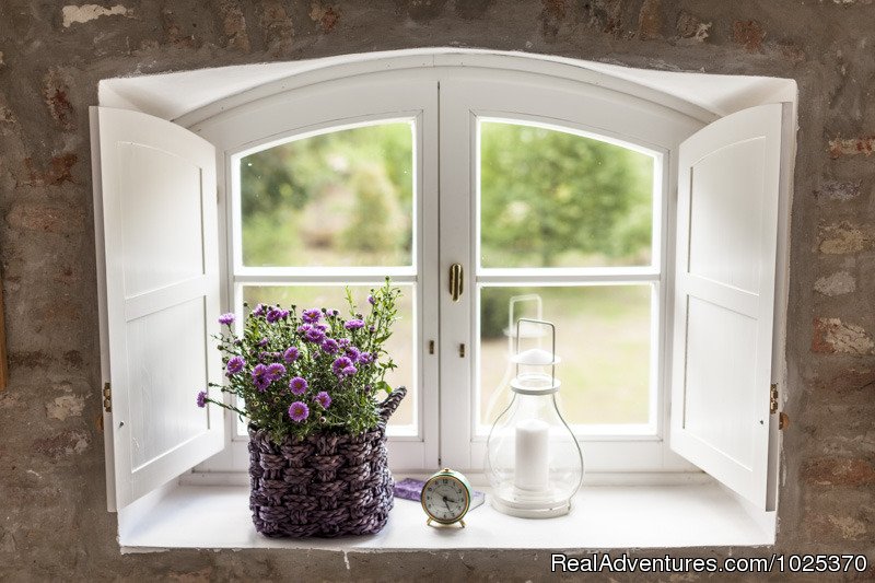 Window With View | The bat Barn, Guest House and Hunting Lodge - | Image #4/12 | 