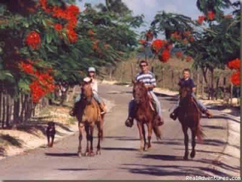 Horseback-riding on premises | Haciendas El Choco | Image #5/8 | 