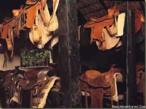 Fully equipped stable with tack room | Haciendas El Choco | Image #6/8 | 