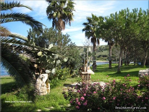 Sicily villa rental & apartment rental | Image #17/19 | 