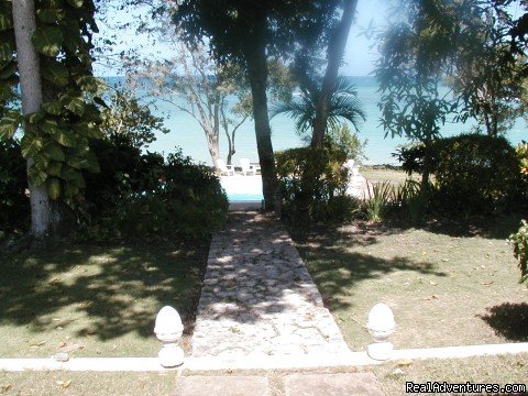 Your Garden | Villas Of Ocho Rios, Jamaica | Image #13/23 | 