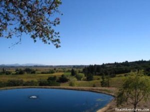 Destination Wedding | Healdsburg, California Articles | Upper Lake, California