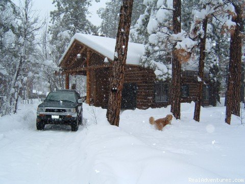 Log cabin in the Pinetop - Arizona | Image #4/4 | 