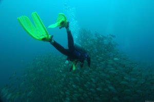 Rich Coast Diving, Costa Rica | Playas del Coco, Costa Rica Scuba Diving & Snorkeling | Great Vacations & Exciting Destinations