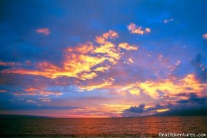 Maui Condo Rental Oceanfront | Lahaina, Hawaii | Vacation Rentals