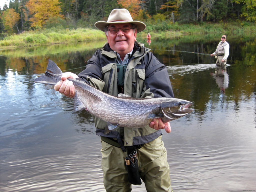 Fishing Atlantic Salmon  Miramichi, New Brunswick Fishing Trips