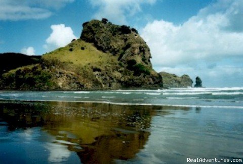 Piha Beach and Bush Cottage | Auckland, New Zealand | Vacation Rentals | Image #1/1 | 