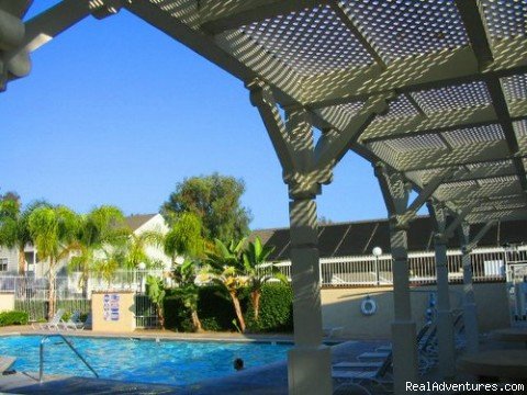 New Pool heated year round. | Ivory Coast. . .by the Sea | Image #13/24 | 