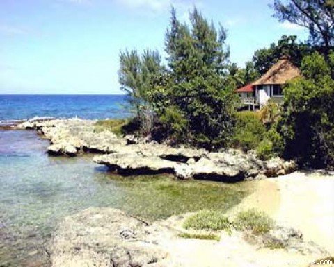 Photo #4 | Villas in Jamaica | Image #4/4 | 