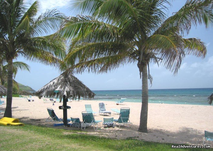 Caribbean Breeze - Gentle Winds Beach | Caribbean Breeze & Villa Dawn, St. Croix | Image #19/19 | 