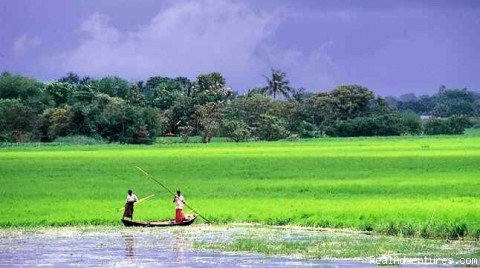 Ever Green Land in Bangladesh | Travel Bangladesh | Dhaka, Bangladesh | Sight-Seeing Tours | Image #1/24 | 