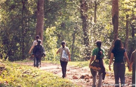 Photo #4 | School Tours in India | Mumbai, India | Summer Camps & Programs | Image #1/9 | 