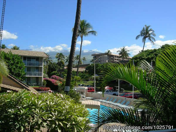 Maui Condo Rental By Beach From $165nt -kihei Maui | Image #7/12 | 