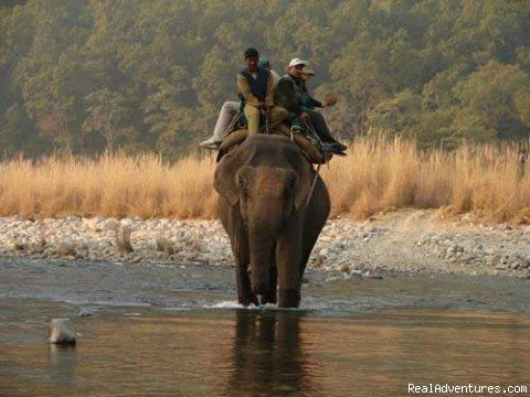 Photo #4 | Wildlife Tours And Safaris India | Image #4/4 | 