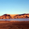 Camel Trip in Merzouga Sahara Desert Morocco Sand dunes in Morocco