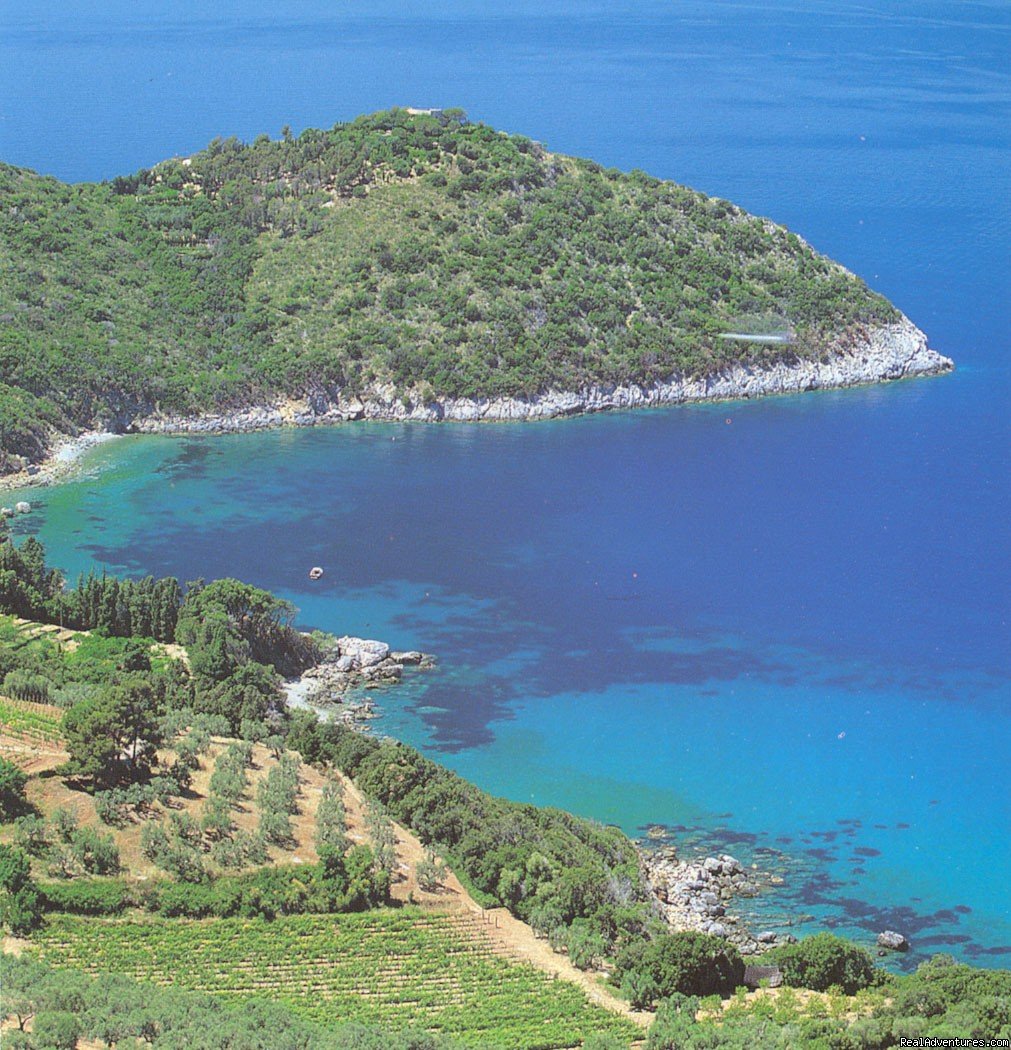 Park and Swimming Pool | Navarro Hill Resort | Argentario   Gr, Italy | Bed & Breakfasts | Image #1/24 | 