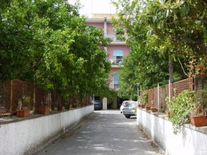Casa Susy | Sorrento, Italy Bed & Breakfasts | Palermo, Italy Accommodations