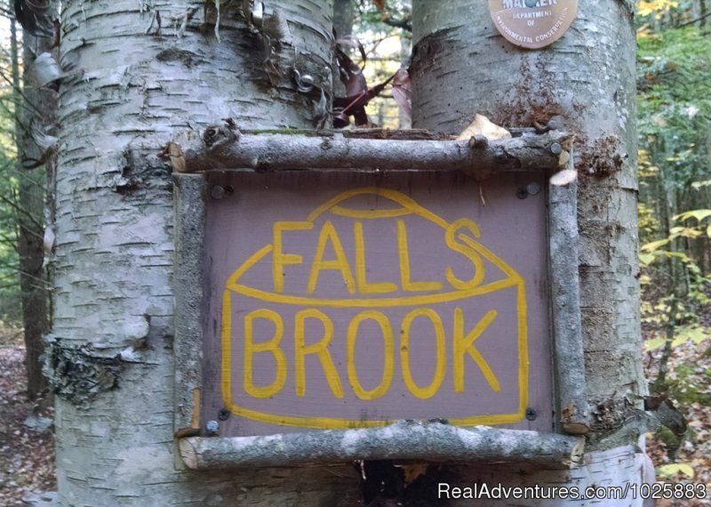Welcome to Falls Brook Yurts in the Adirondacks | Falls Brook Yurt Rentals in the Adirondacks | Image #10/13 | 