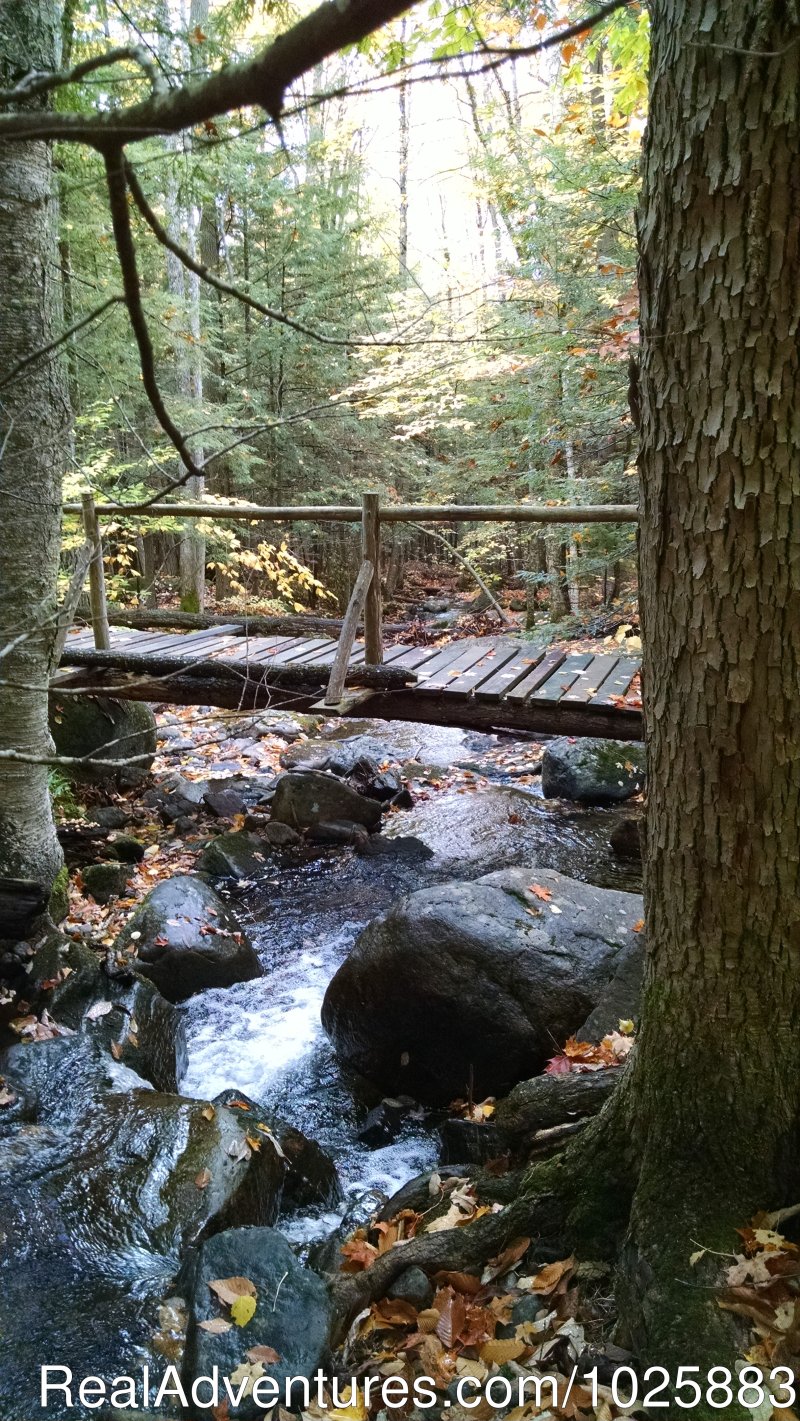 Bridge to Y1 by the waterfall | Falls Brook Yurt Rentals in the Adirondacks | Image #9/13 | 