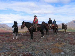 Yukon Riding Adventure | Whitehorse, Yukon Territory Horseback Riding & Dude Ranches | Alaska Highway, Yukon Territory