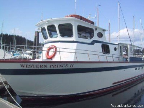 whale watching boat 2 | Eco Tours w/ Western Prince Whale & Wildlife Tours | Image #5/6 | 