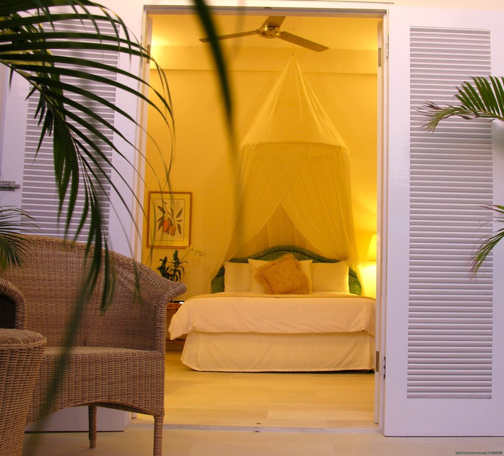 Serene Private Rooms | Surf Goddess - Surf, Yoga & Spa Retreats for Women | Image #4/23 | 