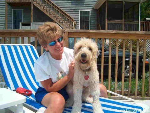 VERY Dog friendly | The Dog Friendliest B+B at the Beach | Image #4/7 | 