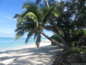 Raus Guesthouse | Titikaveka, Cook Islands Youth Hostels | Cook Islands Accommodations