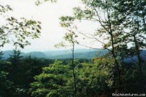 Photo #2 | Tranquility in the North Georgia Mountains | Image #2/6 | 