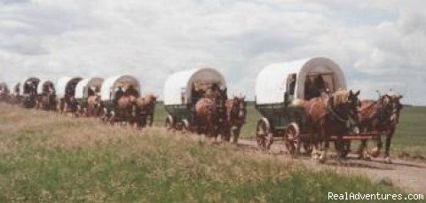 Covered Wagons on the trail. | Family Adventure on Genuine Covered Wagon Train | Jamestown, North Dakota  | Sight-Seeing Tours | Image #1/13 | 