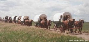 Family Adventure on Genuine Covered Wagon Train | Jamestown, North Dakota | Sight-Seeing Tours