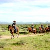 Wilderness Horseback Pack Trips Michael Martin Murphey - Arizona