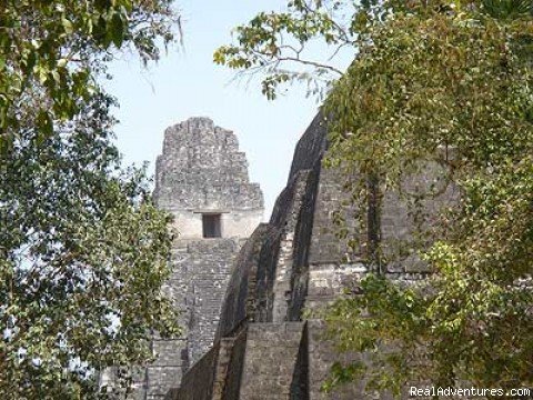 Tikal Mayan Temples