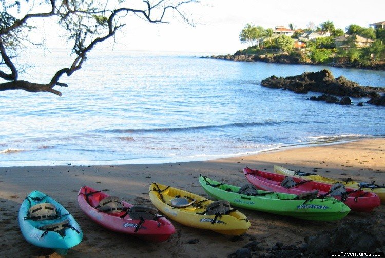 Let's go kayaking! | Kayak and Snorkel eco-adventures in Maui | Maui, Hawaii  | Sight-Seeing Tours | Image #1/3 | 