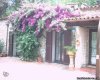 Rental Home Riviera De Flowers E Palmen | Savona, Italy